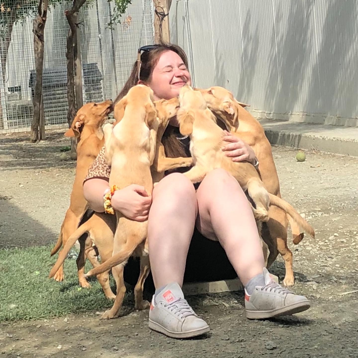 Photo of Beth Visiting A Dog Shelter And Surrounded By Lots of Puppies
