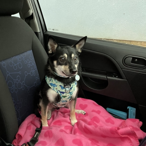 Photo of Fabio sitting in the car on his way to explore